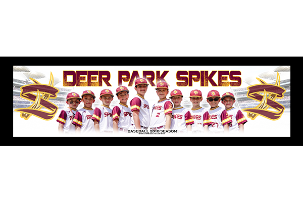 Deer Park Spikes Team