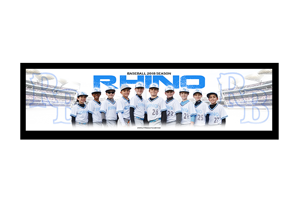 Rhinos Baseball Team 