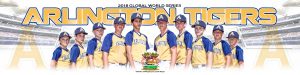 Arlington Tigers