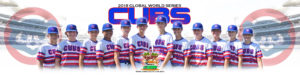 Noble Cubs