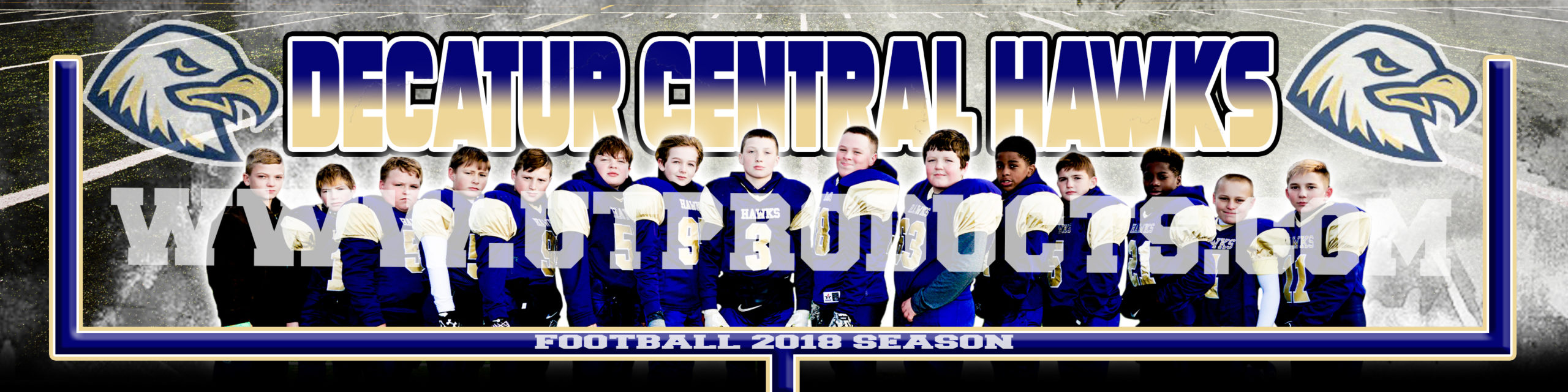 Decatur Central Hawks