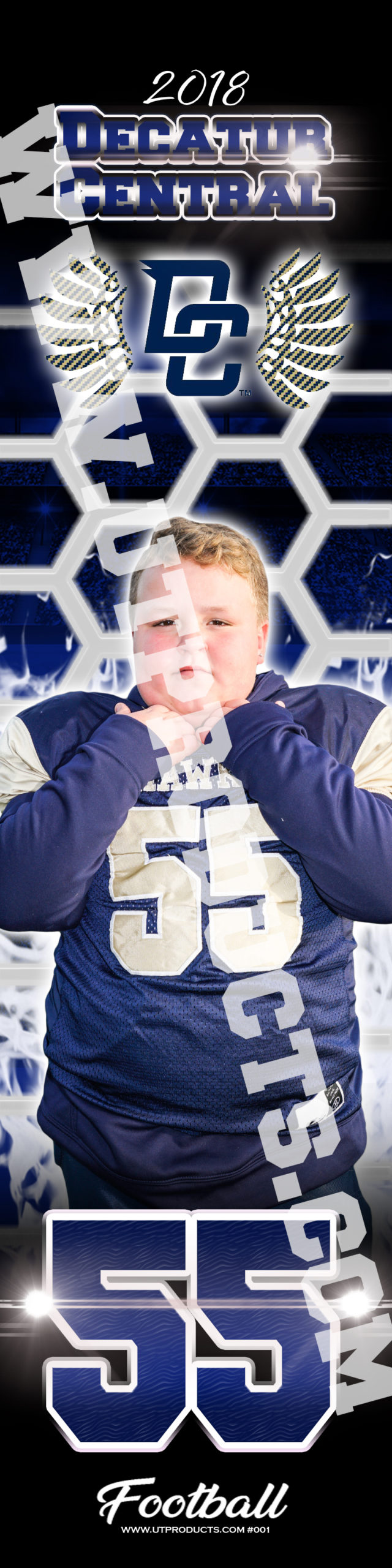 Decatur Central Hawks