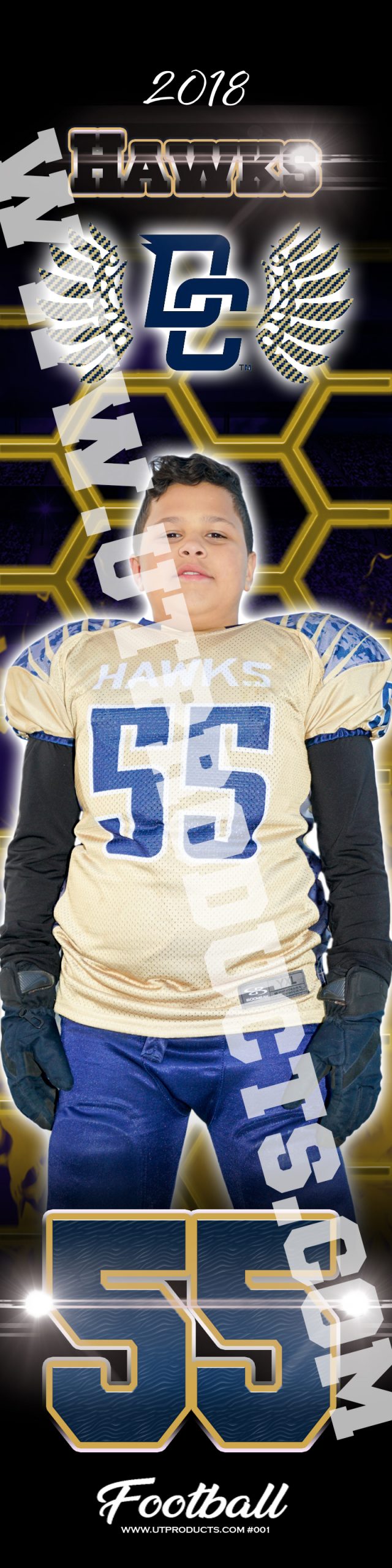 Decatur Central Hawks