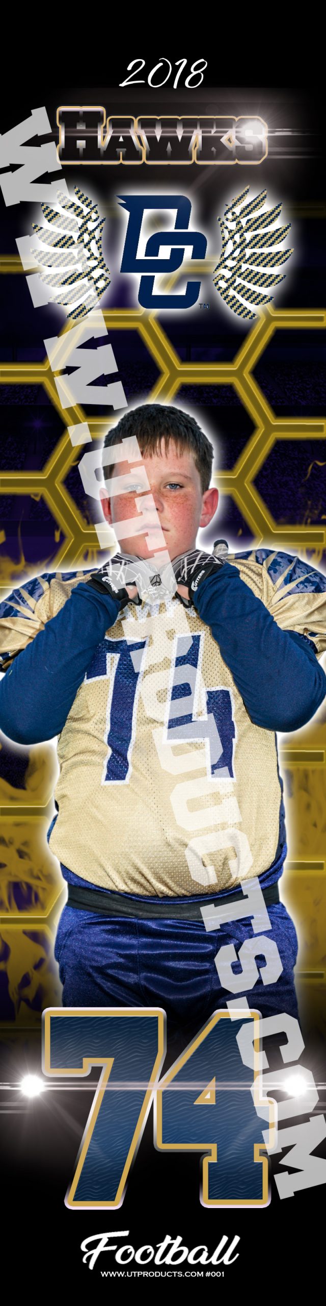 Decatur Central Hawks