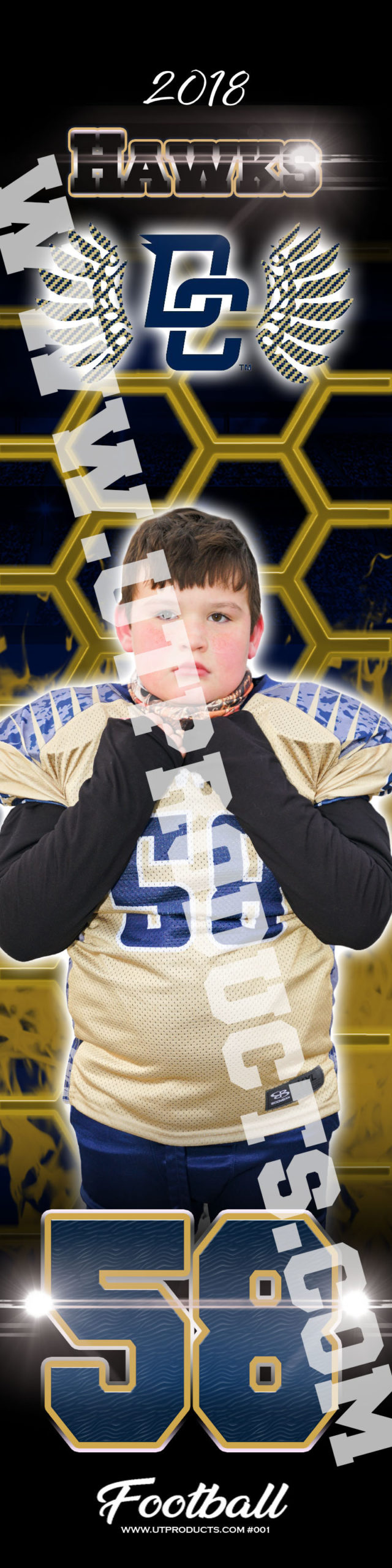 Decatur Central Hawks