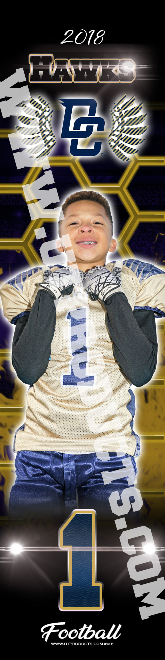Decatur Central Hawks
