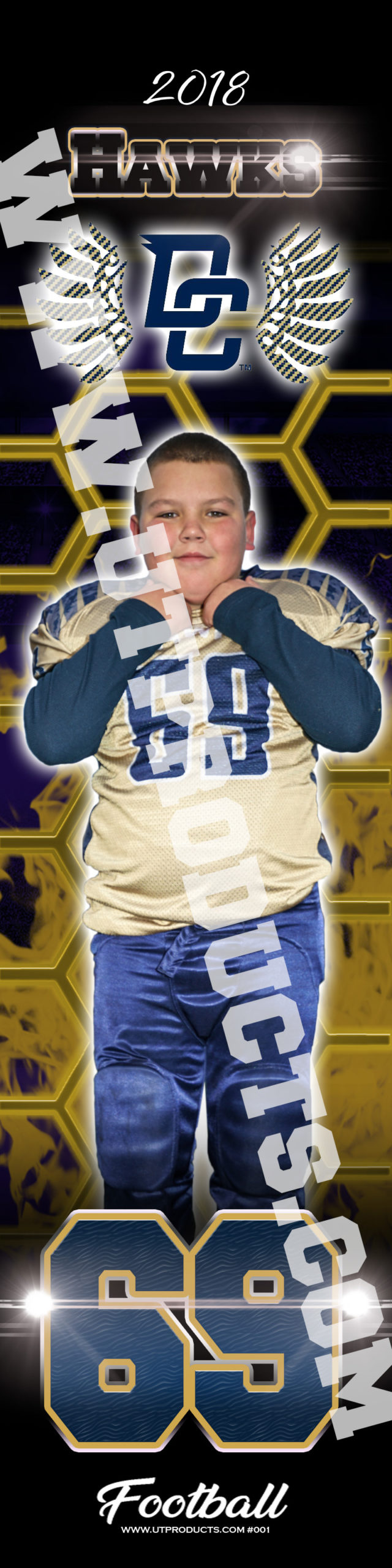 Decatur Central Hawks