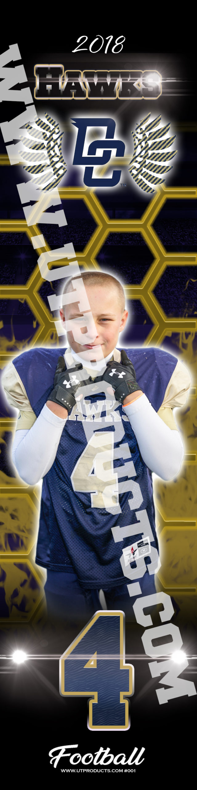 Decatur Central Hawks