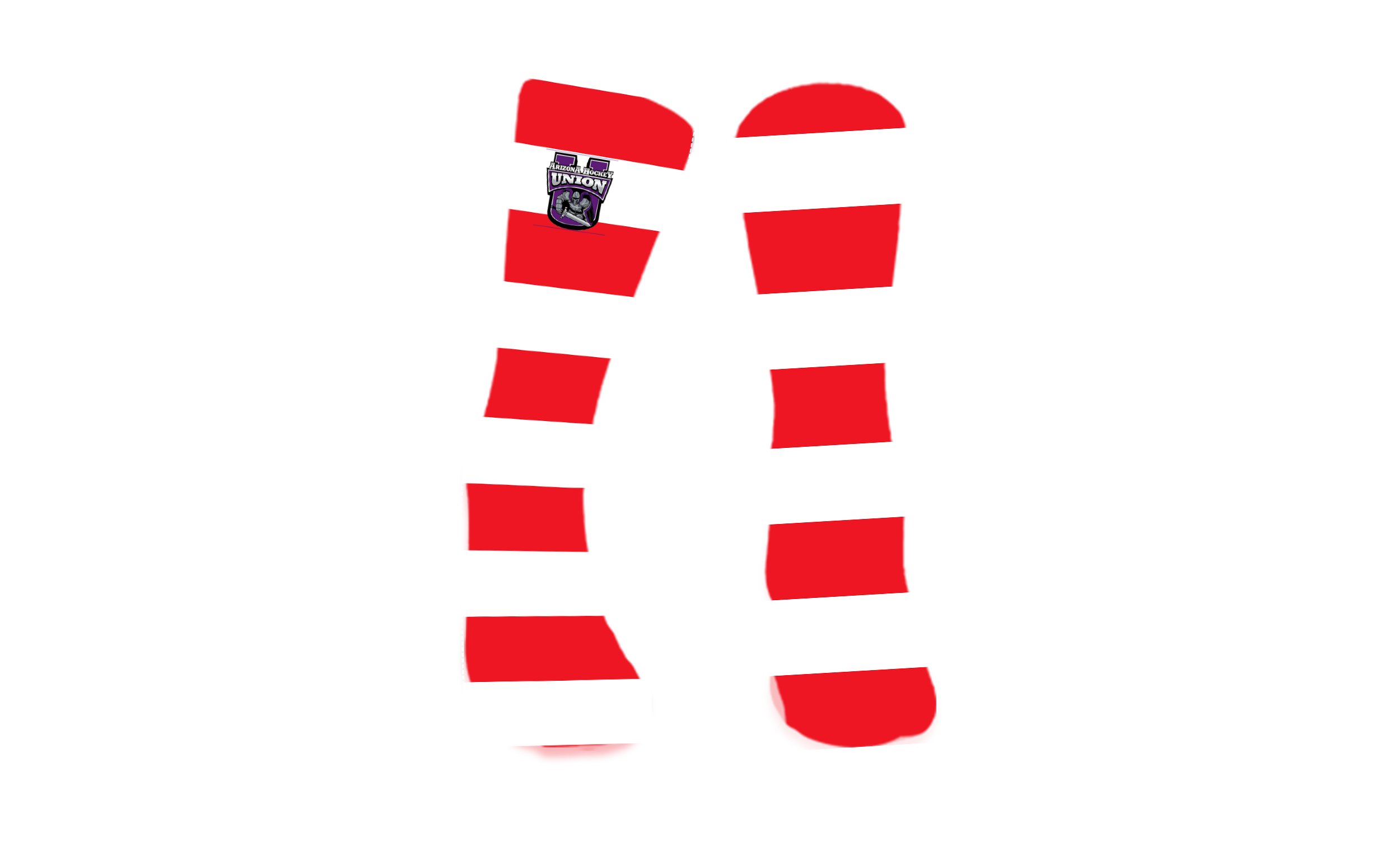 Arizona Hockey Union - 1