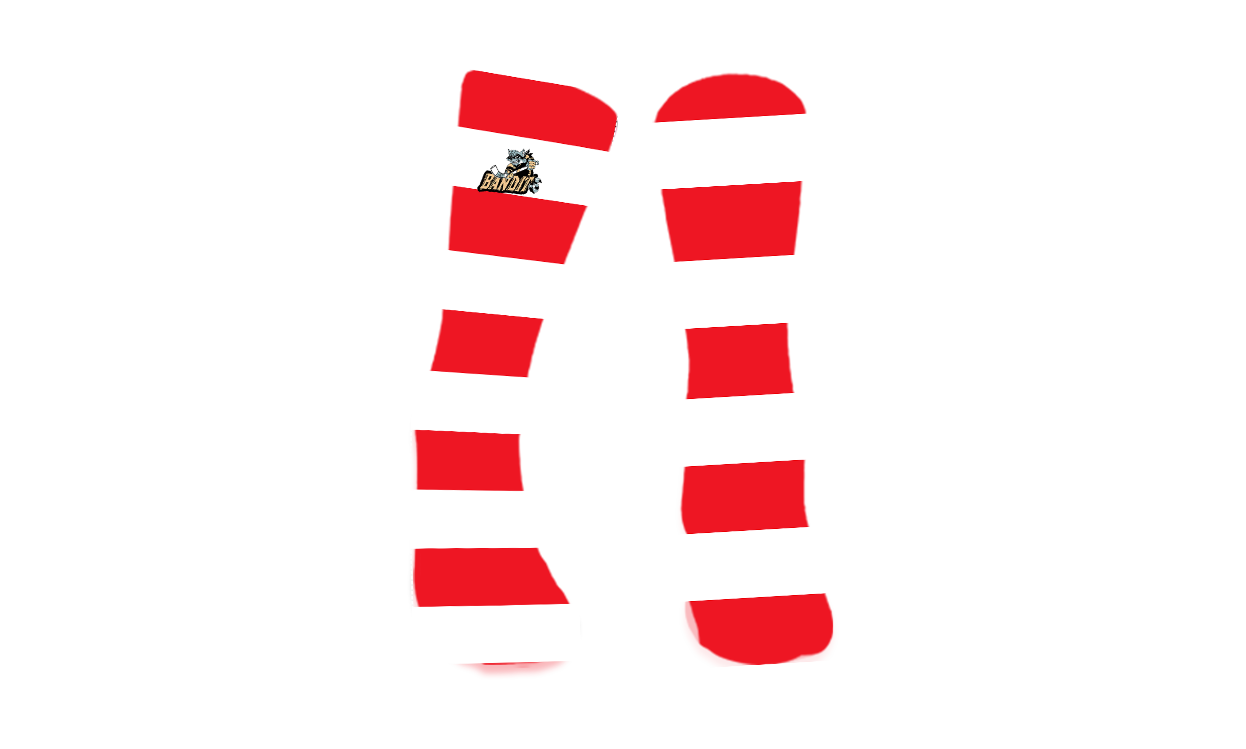 Atlanta Ice Bandits - 1