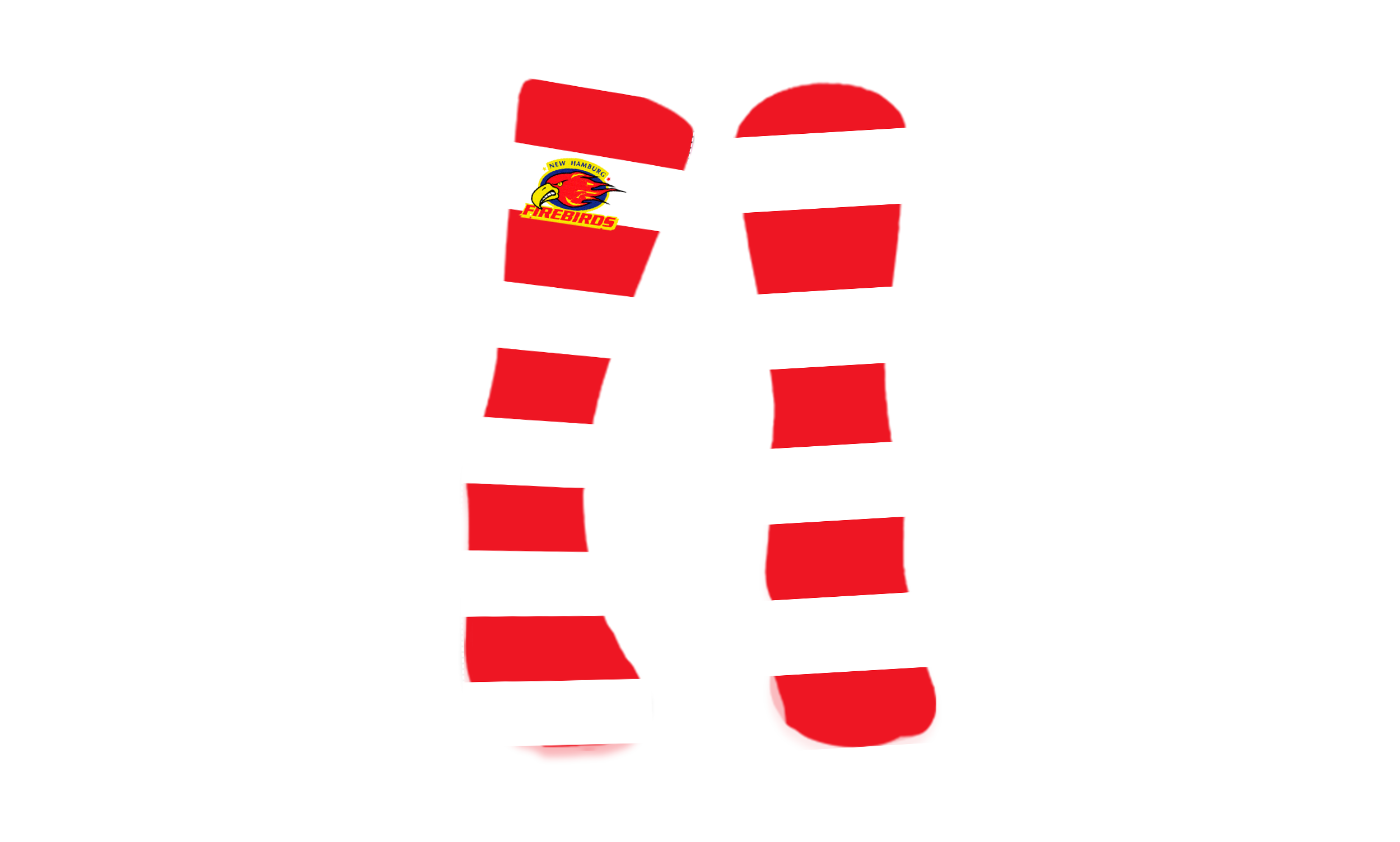 New Hamburg Jr Firebirds - 1
