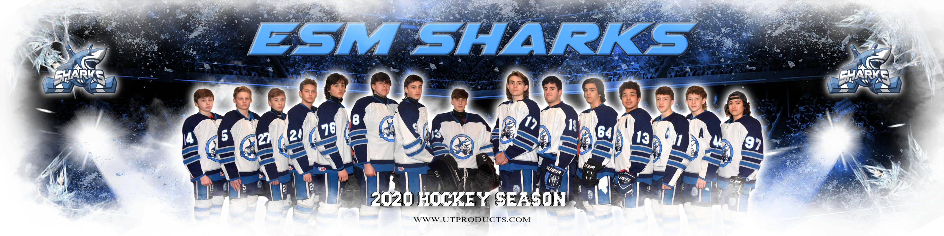 Sharks
