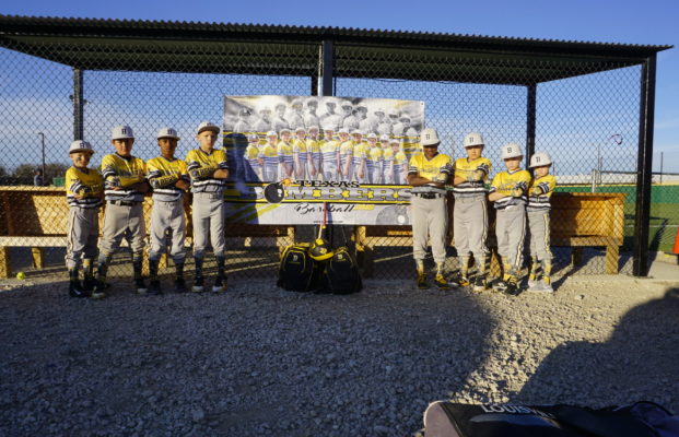 Team Sports Banners